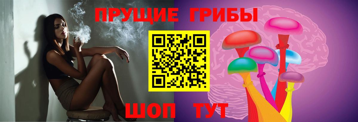Каменск-Шахтинский  Галлюциногенные грибы Cubensis  Вход с VPN 